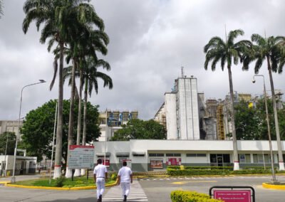 Programa de Lubricación Chesterton Reduce Consumo y Fallas en Prensas Pelletizadoras